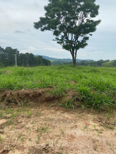 Imagem 18 de 30 de M03- Lotes A Venda
