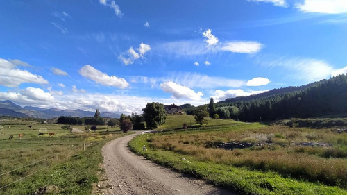 Imagen 6 de 25 de Susana Aravena Propiedades- Excelente Lote En San Martin De Los Andes