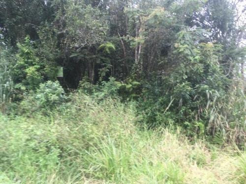 Imagem 4 de 4 de Terreno Na Praia Litoral Sul Lado Serra 312m²- Ref. 5918/dz