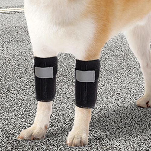 Soporte Para Patas Delanteras De Perro, Soporte Carpiano, S