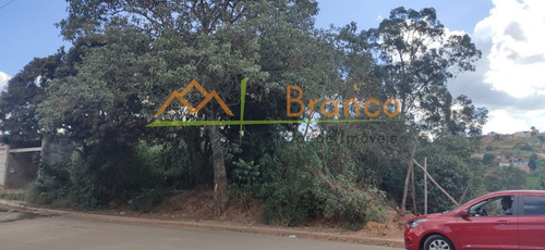 Imagem 3 de 3 de Terreno - Te00027 - 69386016