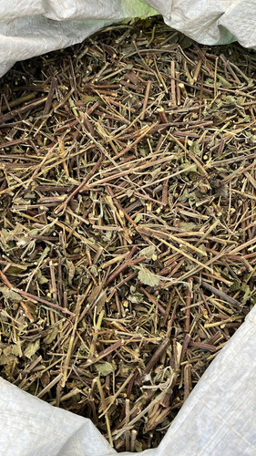 Mirto -herbolaria Natural-té-infusion - 1kg