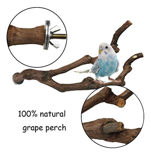 Soporte Natural Para Pájaros Con Palo De Uva