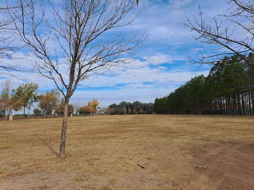 Imagen 2 de 16 de Terreno En Venta Chacras De La Villa