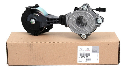 Tensor Bomba Agua Original Peugeot Citroen 1.6 Thp