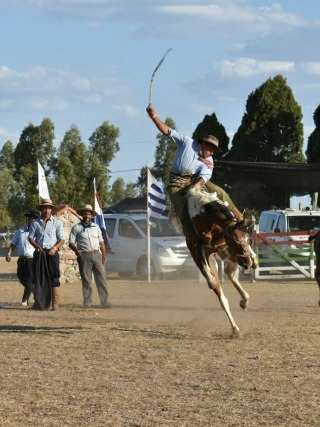 Fotos Fiestas