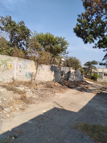 Imagen 7 de 18 de Terreno En Venta 560 Mts. Loma Larga (satelite)