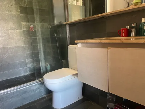 Penthouse 1 Dormitorio 2 Baños Y Azotea En Providencia