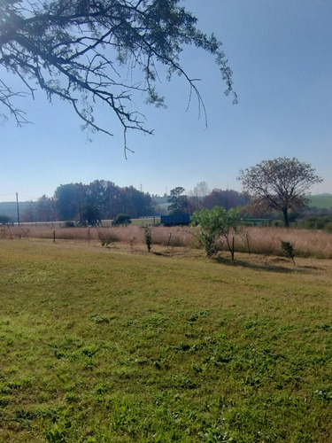 Se Vende Campo Sobre Ruta 8