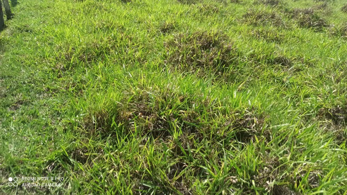 (k.a) Terrenos Em Guararema
