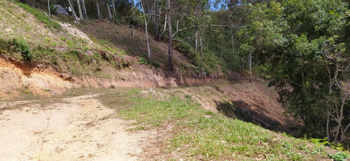 Imagen 5 de 8 de En Venta Terreno Llano Alto Lomas De Urquia Miranda Cf