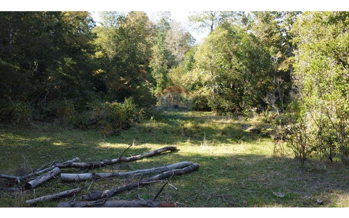 Plot In Pucón, Los Riscos Safe Investment