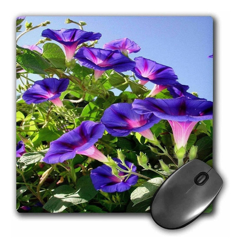 3drose Llc 8 x 8 x 0.25 inches Mouse Pad, Deep Purple Mor