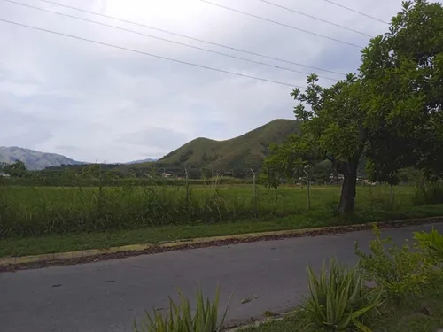 Terreno En Venta En Guacara, (lp)