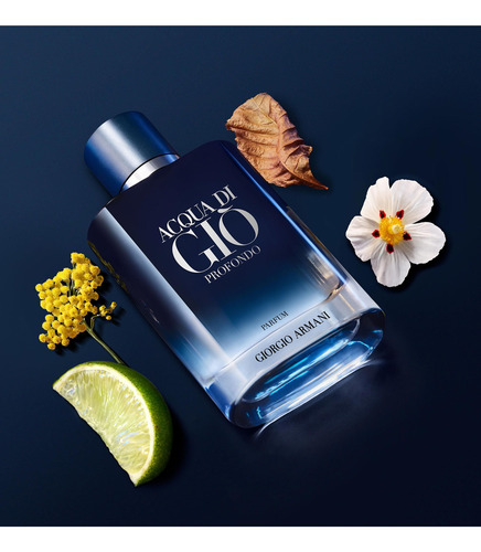Giorgio Armani Acqua Di Gio Profondo Parfum 100 Ml