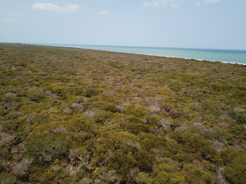 Increíble Terreno En Venta En La Costa Yucateca
