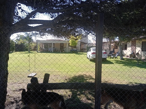 Imagen 17 de 26 de Casas De Dos Y Tres Ambientes A Dos Cuadras De Playa Sur