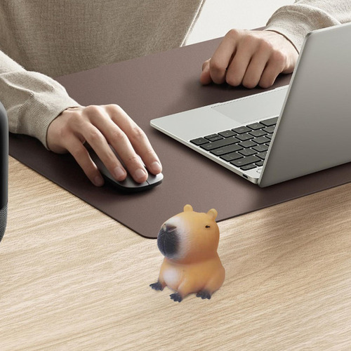 / Carpincho Para Aliviar El Estrés Capibara Para Apretar