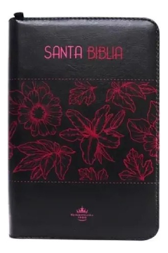 Santa Biblia Rvr1960 Letra Grande /negro Con Cierre