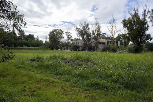 Lote En Venta En San Miguel De Allende: Viñedo San Lucas