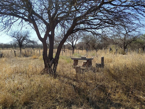 Imagen 9 de 19 de Campo Ganadero Y De Siembra En Venta En Lafinur, Provincia De San Luis
