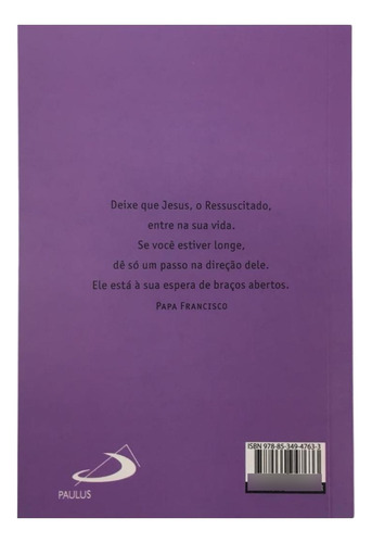 Livro Guia Coleção Youcat Update Confissão Leitura Católica
