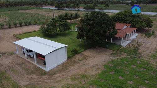 Imagem 28 de 30 de Granja Com 13 Hectares E Plantação Rentabilizando - Ch0065