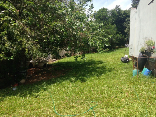 Terreno Em Vila Nova - Vz3689