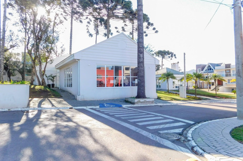 Imagem 8 de 23 de Terreno - Residencial - 926224