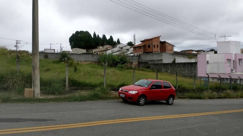 Imagem 4 de 6 de Terreno Em Vila Oliveira - Mogi Das Cruzes - 2655