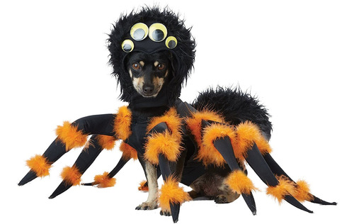 Disfraz De Araña Para Perro Cachorro  Color Negro Y Naranja