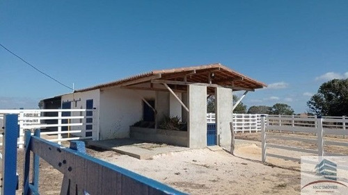 Imagem 3 de 18 de Granja A Venda Lagoa Nova