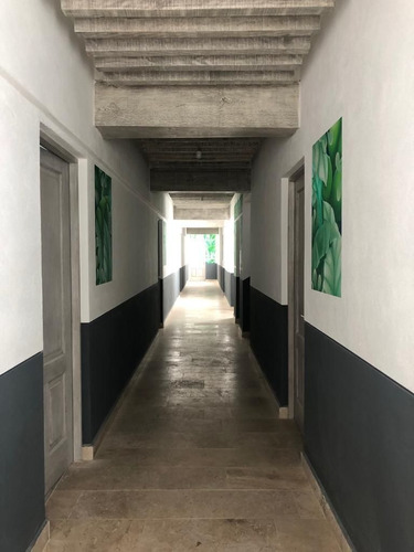 Imagen 6 de 15 de Departamento En Venta/renta Nuevo En Centro Cdmx