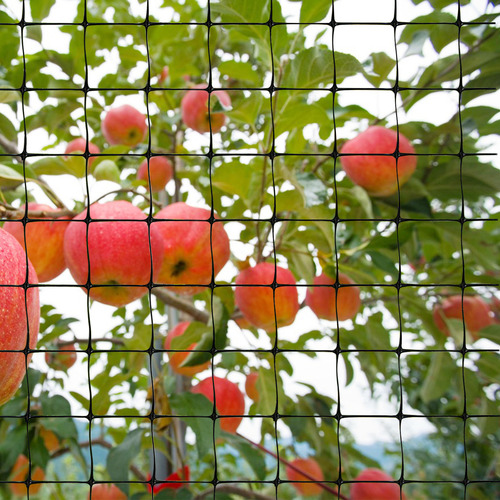 Red Para Pájaros Garden Netting De 2,1 M X 10 M Con 20 Brida