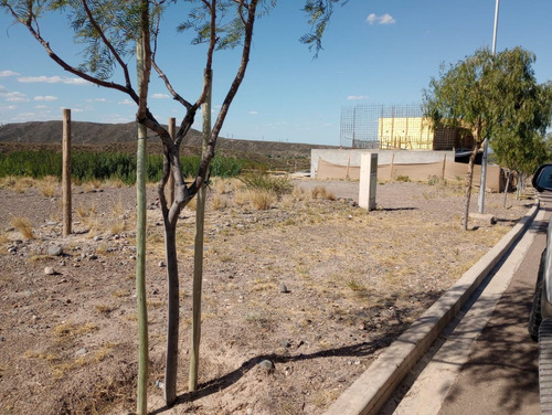 Se Vende Lote En Lujan De Cuyo, Mendoza