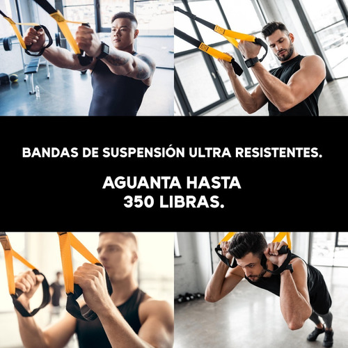 Imagen 8 de 9 de Bandas Suspension Tipo Trx Cuerdas Gym Suspension Training