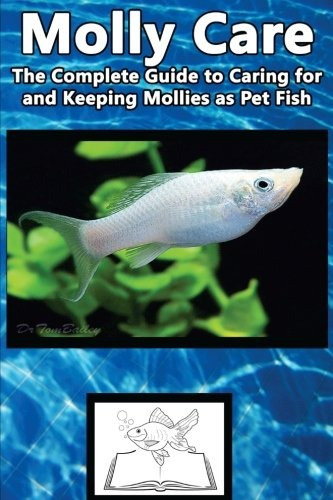 Molly Care The Complete Guide To Caring For And Keeping Moll