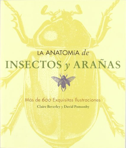 Libro La Anatomia De Insectos Y Arañas De Claire Beverly, Da