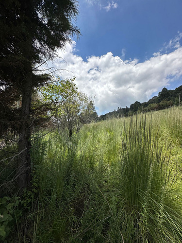 Terreno Residencial En Venta En Cañada De Alférez