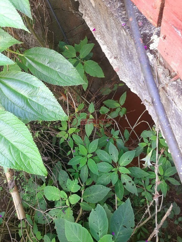 Imagem 14 de 23 de Propriedade Com 120 Mil M² De Área Em Teresópolis. - St00188 - 69390058
