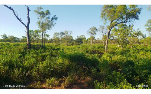 Venta De Campo Ganadero 1.200 Has Figueroa, Santiago Del Estero