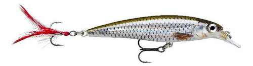 Isca Artificial Rapala X-rap 10cm Agua Doce (varias Cores) Cor Live Roach