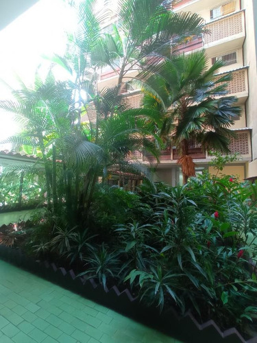 Imagen 6 de 15 de Apartamento En La Concordia En Venta