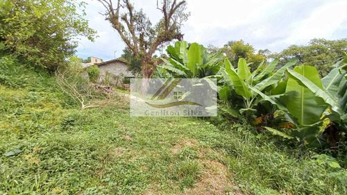 Imagem 14 de 15 de Vendo Chacara De 3848 M² Em Ibiuna-sp - 91