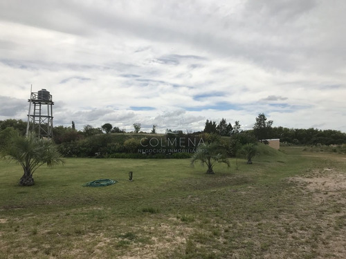 Imagen 26 de 30 de Venta De Chacra Sobre Ruta 9 A 30 Km De Jose Ignacio - Maldonado Ruta 9