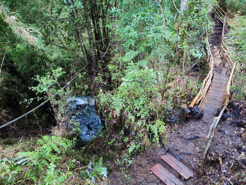 Terreno Agrícola En Venta 4,25 H En Puerto Octay