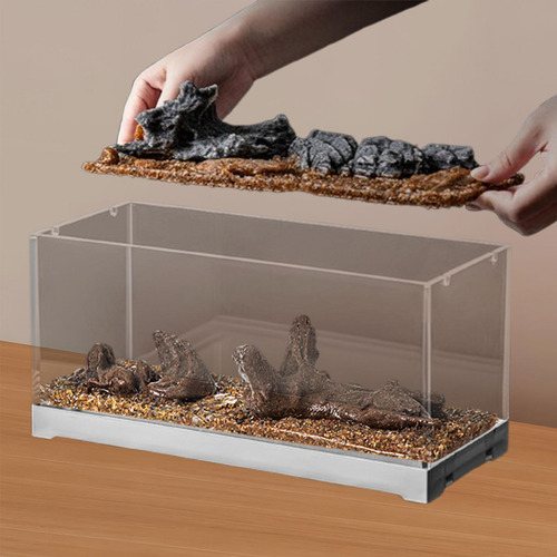 Accesorios De Acuarios De Decoración De Paisajismo Desierto