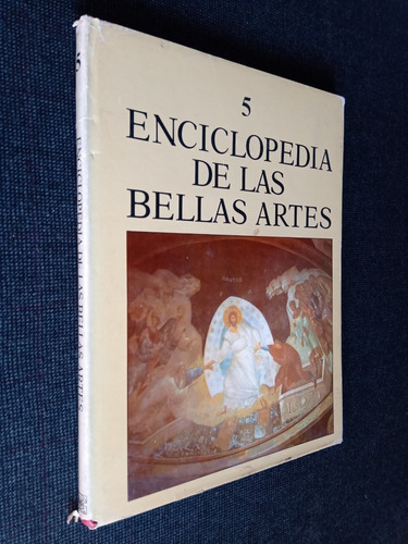 Enciclopedia De Las Bellas Artes Tomo 5 Cumbre Japones