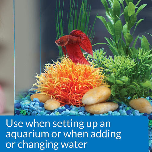 Api Betta Purificación Del Agua