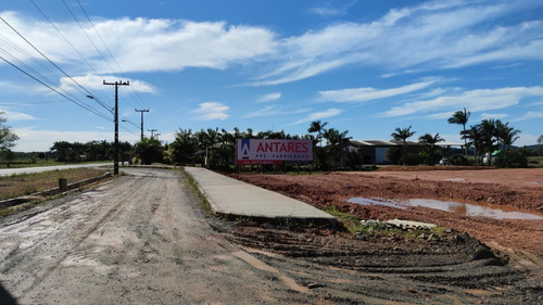 Imagem 10 de 10 de Galpão Industrial No Vila Nova | Situado Na Rodovia Do Arroz | 2.367 M² - Sa01981 - 69799219